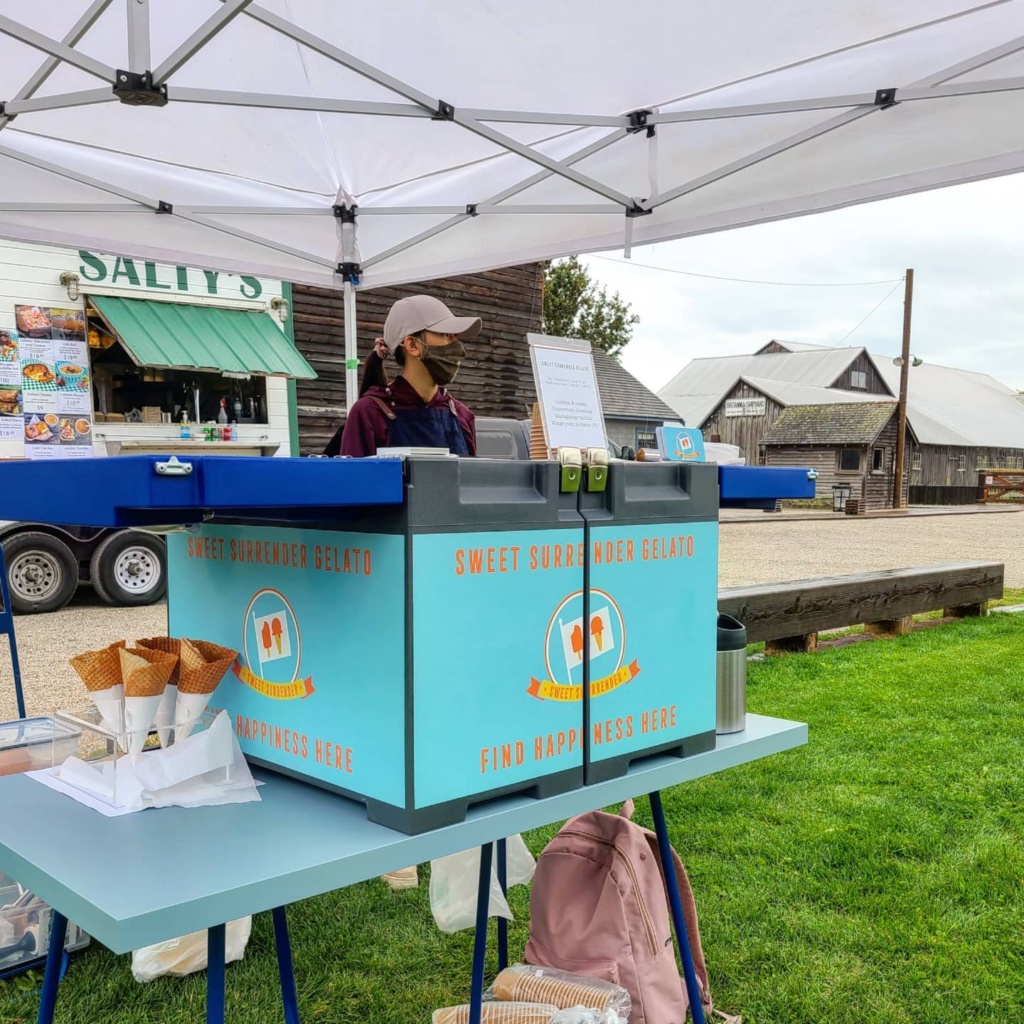 a woman behind a portable ice cream freezer at an outdoor event